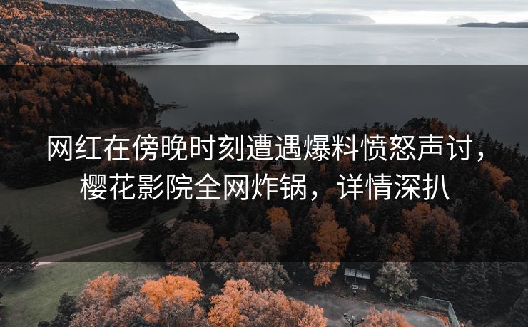 网红在傍晚时刻遭遇爆料愤怒声讨，樱花影院全网炸锅，详情深扒